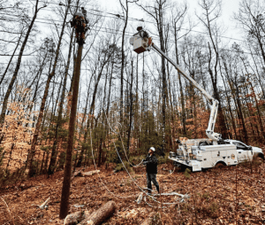 Linemen are seen taking down dead vegetation