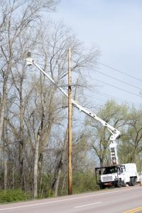 Crew member in tree trimming bucket truck